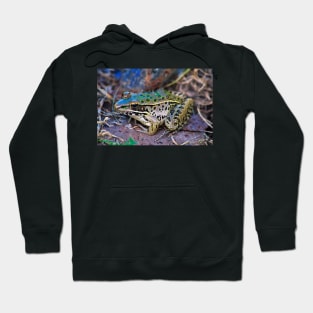 Backyard Frog (2) Hoodie